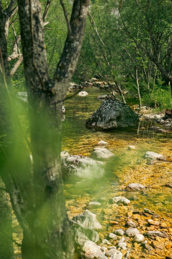 Natures Escape Kozarica Savnik Exterior photo